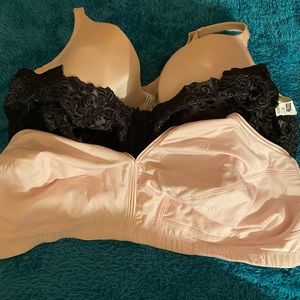 Women’s plus size bras